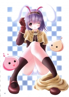 (CR33) [Aeterna (Oomori Yoshiharu)] Aeterna Lv.1 (Ragnarok Online) - page 11