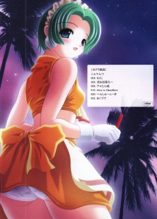 (C64) [Aeterna (Oomori Yoshiharu)] Aeterna Lv.2 (Ragnarok Online) - page 3