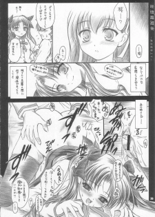 (C67) [Yakan Hikou (Inoue Tommy)] CATTLEYA 3 (Fate/stay night) - page 25