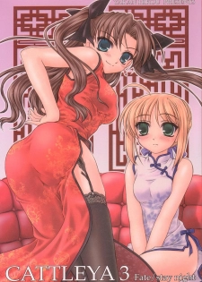 (C67) [Yakan Hikou (Inoue Tommy)] CATTLEYA 3 (Fate/stay night) - page 1