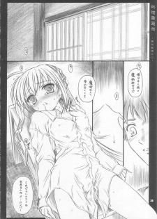 (C67) [Yakan Hikou (Inoue Tommy)] CATTLEYA 3 (Fate/stay night) - page 29