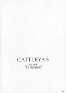 (C67) [Yakan Hikou (Inoue Tommy)] CATTLEYA 3 (Fate/stay night) - page 45