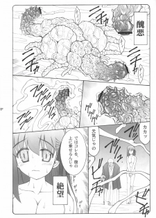 (C68) [Abarenbow Tengu (Yujiro Izumi)] Kotori (Fate/stay night) - page 5