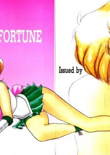 (C47) [T-press (ToWeR)] STAIR II FORTUNE (Bishoujo Senshi Sailor Moon S) - page 33