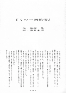 [WHITE ELEPHANT] 舞ちゃん調教ガイド - page 28