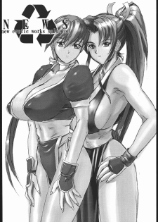 (C58) [Nippon H Manga Kyoukai (Various)] Project X (Dead or Alive, King of Fighters) - page 5