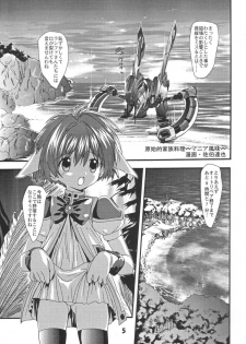 (SC19) [YOUKI M.K.C. (Various)] Doki Doki Chou Gentei Babanga Ban! Mint Pack (Galaxy Angel) - page 4