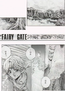 (story) Fairy Gate (Record of Lodoss War)