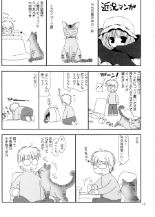 (COMIC1☆3) [Nagasaki-Inter (Sou Akiko)] Touhou Intoukyou (Touhou Project) - page 17
