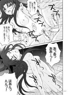 (C70) [SEITOKAISHITSU (Akimoto Dai)] THE SCARLET INVADER. (Fate/stay night) - page 22