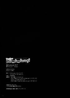 (Mimiket 20) [D.N.A.Lab., ICHIGOSIZE (Miyasu Risa, Natsume Eri)] Touhou Mimimizugi (Touhou Project) - page 24
