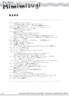 (Mimiket 20) [D.N.A.Lab., ICHIGOSIZE (Miyasu Risa, Natsume Eri)] Touhou Mimimizugi (Touhou Project) - page 10