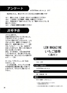 [Petit Bunny (LEM)] Ichigo Ryoujoku (Ichigo 100%) - page 33