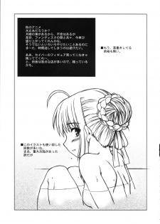 [Dennou Denpa Hatsureisho] Tiger Tron - Drunkar of Tiger (Fate/Stay Night) - page 17