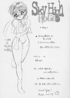 (C62) [Sarurururu (Doru Riheko)] Holic 2 Sky High (Street Fighter) - page 41