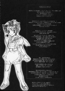 (C62) [Sarurururu (Doru Riheko)] Holic 2 Sky High (Street Fighter) - page 40