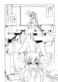 Usa De Megane 2 - page 4