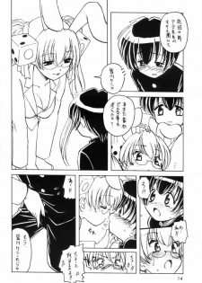 Usa De Megane 2 - page 13