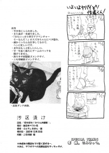 (C65) [Shinnihon Pepsitou (St.germain-sal)] Suki Suki Karin Ojousama (Street Fighter) - page 21