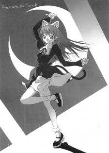 (C68) [lilisyuka (Satou Takahiro)] Tsukuyomi Elfriede mode (Tsukuyomi Moon Phase) - page 34