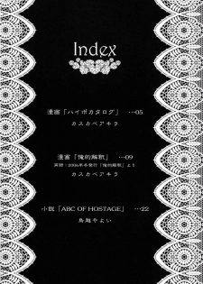 (C73) [EGOISM (Kasukabe Akira, Torigoe Yayoi)] Hypo Catalog (Final Fantasy XII) - page 3