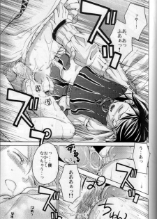 (C73) [EGOISM (Kasukabe Akira, Torigoe Yayoi)] Hypo Catalog (Final Fantasy XII) - page 16
