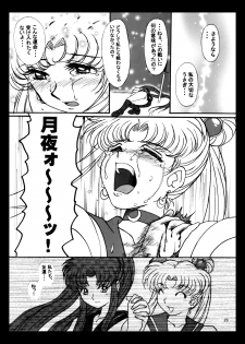 [Taiyoukei Kaihatsu Kikou (Marubayashi Shumaru)] V for Sailor V (Bishoujo Senshi Sailor Moon) [Digital] - page 25