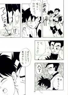 [Chirigami Goya, Fusuma go Ten (Shouji Hariko)] YYY (Dragon Ball) - page 23
