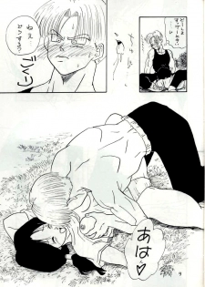 [Chirigami Goya, Fusuma go Ten (Shouji Hariko)] YYY (Dragon Ball) - page 9