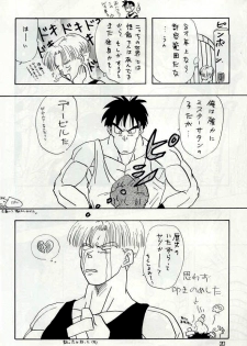 [Chirigami Goya, Fusuma go Ten (Shouji Hariko)] YYY (Dragon Ball) - page 20
