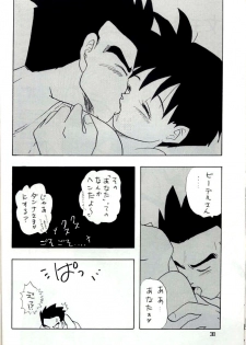 [Chirigami Goya, Fusuma go Ten (Shouji Hariko)] YYY (Dragon Ball) - page 38