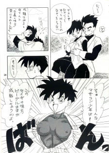 [Chirigami Goya, Fusuma go Ten (Shouji Hariko)] YYY (Dragon Ball) - page 24