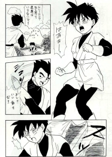 [Chirigami Goya, Fusuma go Ten (Shouji Hariko)] YYY (Dragon Ball) - page 22