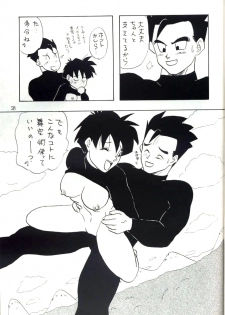[Chirigami Goya, Fusuma go Ten (Shouji Hariko)] YYY (Dragon Ball) - page 31