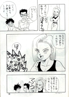 [Chirigami Goya, Fusuma go Ten (Shouji Hariko)] YYY (Dragon Ball) - page 39