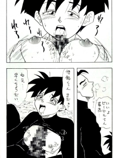 [Chirigami Goya, Fusuma go Ten (Shouji Hariko)] YYY (Dragon Ball) - page 28