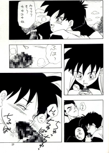 [Chirigami Goya, Fusuma go Ten (Shouji Hariko)] YYY (Dragon Ball) - page 27