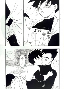 [Chirigami Goya, Fusuma go Ten (Shouji Hariko)] YYY (Dragon Ball) - page 25