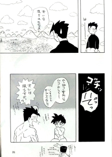 [Chirigami Goya, Fusuma go Ten (Shouji Hariko)] YYY (Dragon Ball) - page 35