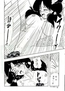 [Chirigami Goya, Fusuma go Ten (Shouji Hariko)] YYY (Dragon Ball) - page 18
