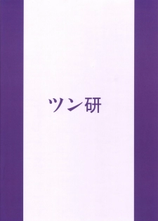 (SC31) [Tsunken] Hime no Marumaru Nikki (Tsuyokiss) - page 18