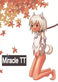 [Miracle TT] Touhou Inkirou (Touhou) - page 26
