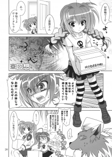 (COMIC1☆3) [PLUM (Kanna)] Mahou Shoujo Magical SEED RANDOM (Mahou Shoujo Lyrical Nanoha) - page 26