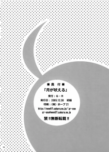 (C69) [G-R (Akiyama Kenta)] Tsuki ga Hoeru (Gundam SEED Destiny) - page 33