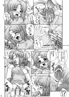 (C69) [G-R (Akiyama Kenta)] Tsuki ga Hoeru (Gundam SEED Destiny) - page 27