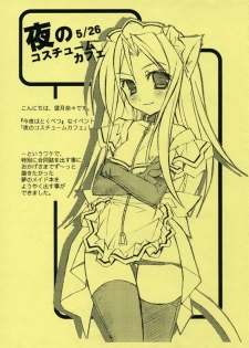 (Yoru no Costume Cafe) [Neuromancer., Tenjikuya (Kannon Ouji, Mochizuki Nana)] Night Maid Bird Cage. - page 27