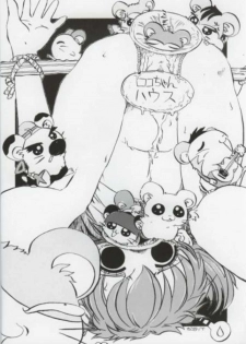 (C61) [Nipopo Crisis (Genka Ichien)] Tottoto Hametarou - Otoko-you (Tottoko Hamtaro) - page 19
