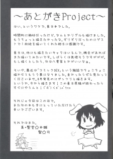 (Touhou Suukei Sai) [Shin Hijiridou Honpo (Hijiri Tsukasa)] Usagi no Miru Yume (Touhou Project) [English] [CGrascal] - page 24