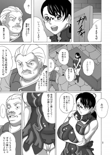 (SC41) [Heisen-Dou (Hiraizumi Kou)] Bugu Shouten Fujin no Futei (Queen's Blade) - page 2