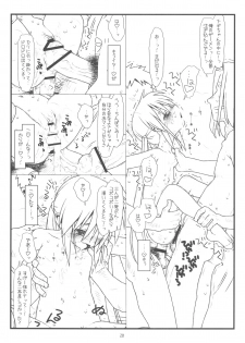 (C76) [bolze.] Hard de Hard na Monogatari (Hayate no Gotoku!) - page 27